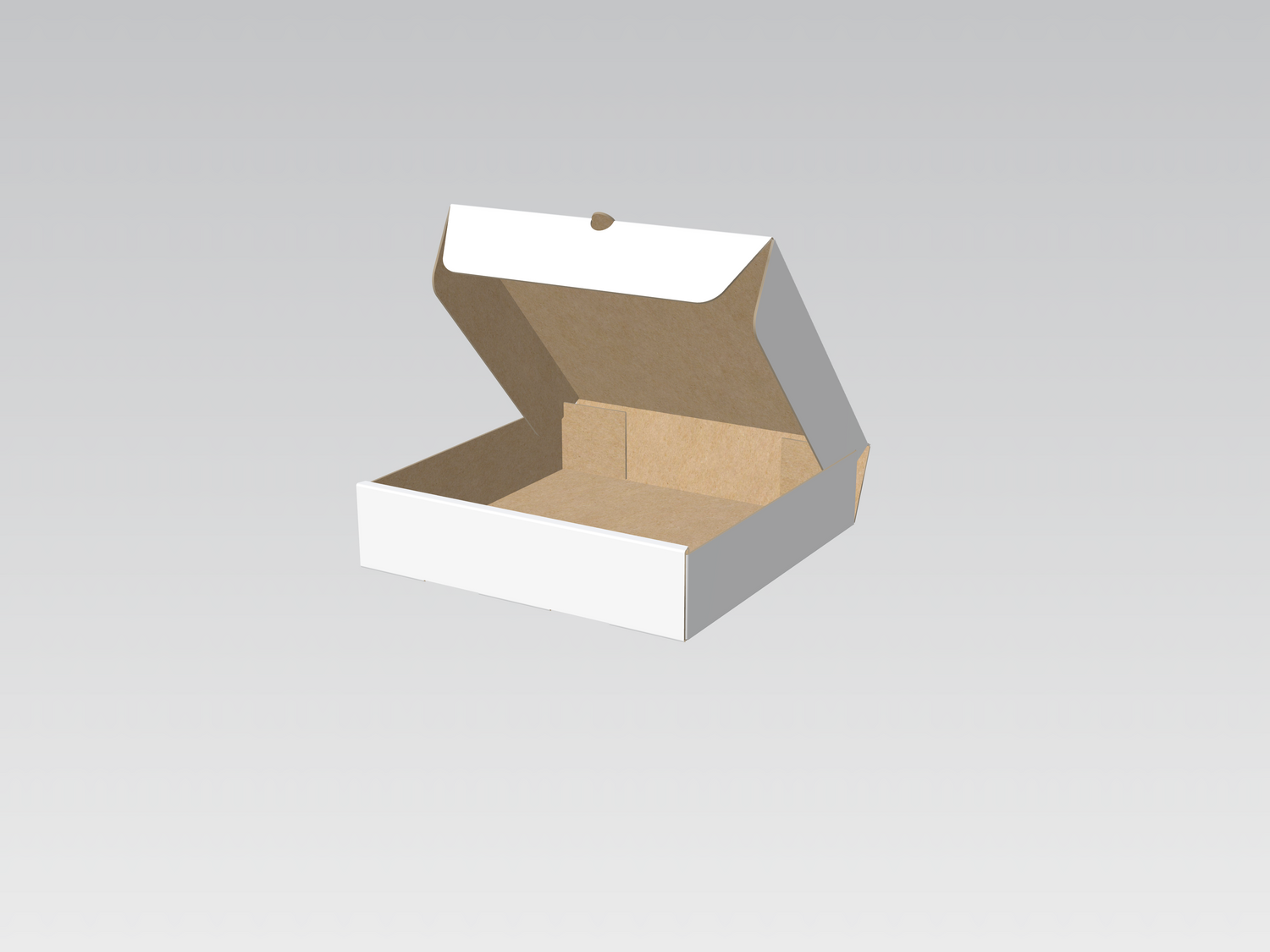 Caja tipo pizza