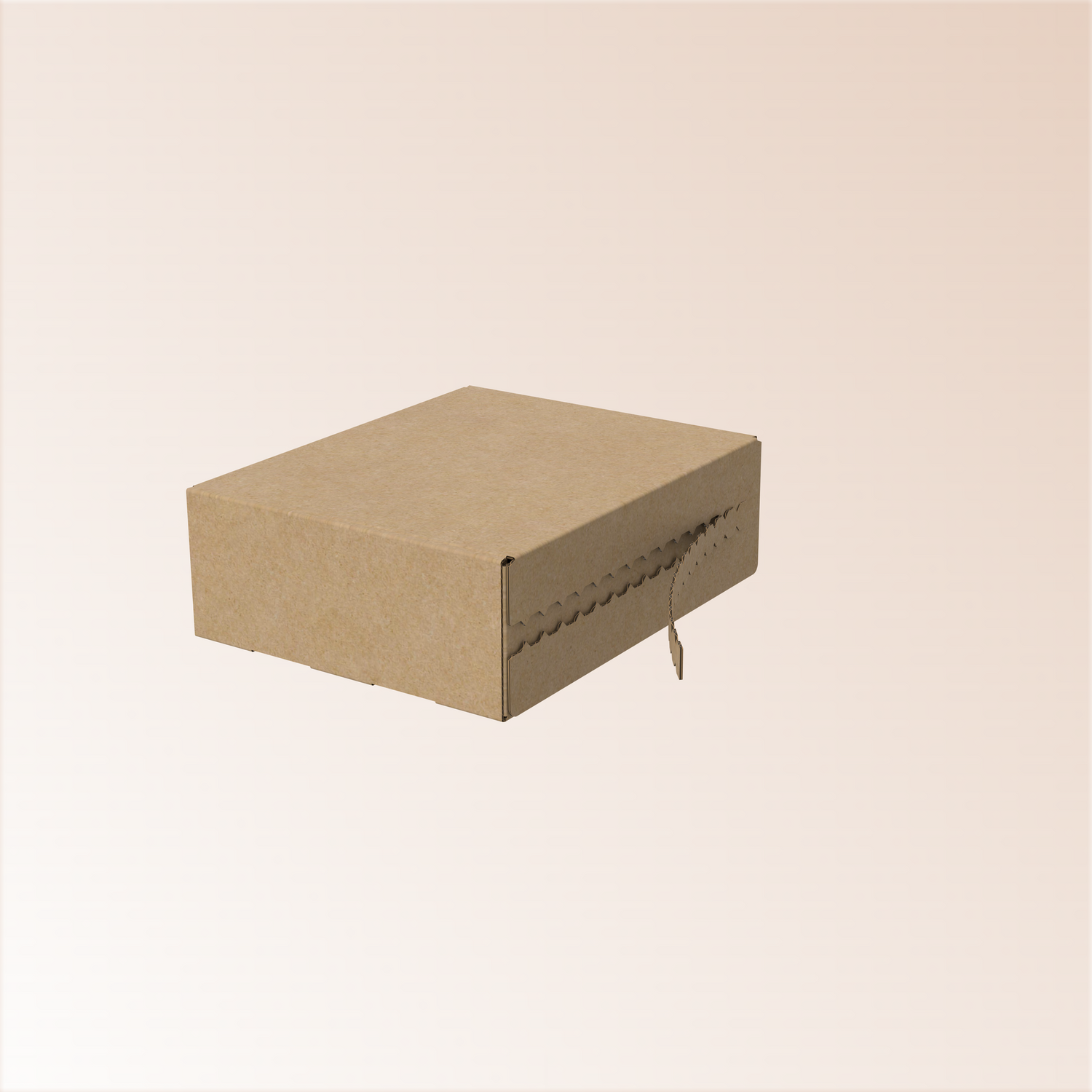 Caja con zip